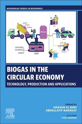 bokomslag Biogas in the Circular Economy