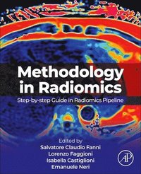 bokomslag Methodology in Radiomics