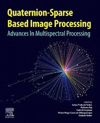 bokomslag Quaternion-Based Sparse Image Processing