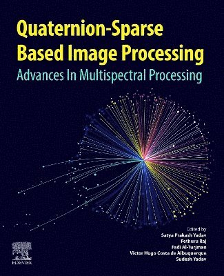 bokomslag Quaternion-Based Sparse Image Processing