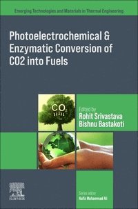 bokomslag Photoelectrochemical and Enzymatic Conversion of CO2 into Fuels