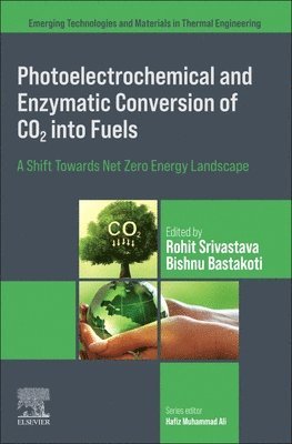 bokomslag Photoelectrochemical and Enzymatic Conversion of CO2 into Fuels