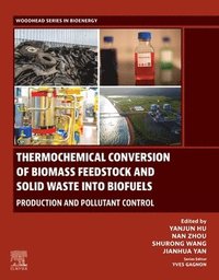 bokomslag Thermochemical Conversion of Biomass Feedstock and Solid Waste into Biofuels