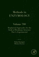 Anna Maria Pyle, David Christianson - Biophysical Approaches for the Study of Membrane Structure Part A, Inbunden
