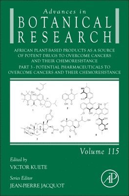 bokomslag African Plant-Based Products as a Source of Potent Drugs to Overcome Cancers and their Chemoresistance