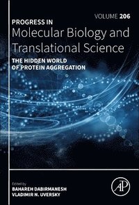 bokomslag The Hidden World of Protein Aggregation