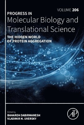 bokomslag The Hidden World of Protein Aggregation