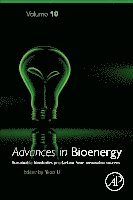 Yebo Li - Advances in Bioenergy, Inbunden