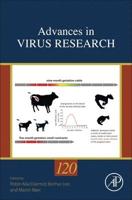 bokomslag Advances in Virus Research
