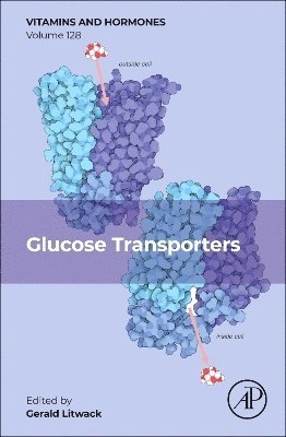 bokomslag Glucose Transporters