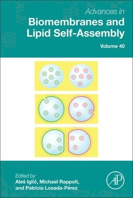 bokomslag Advances in Biomembranes and Lipid Self-Assembly