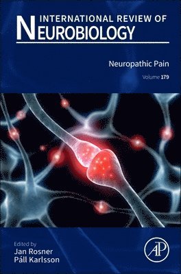 Neuropathic Pain, Inbunden