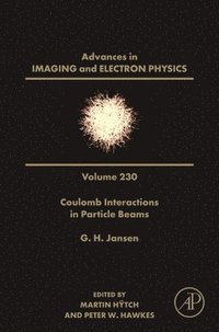 bokomslag Coulomb Interactions in Particle Beams