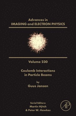 bokomslag Coulomb Interactions in Particle Beams