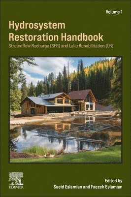 bokomslag Hydrosystem Restoration Handbook: Streamflow Recharge and Lake Rehabilitation