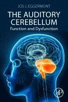 bokomslag The Auditory Cerebellum