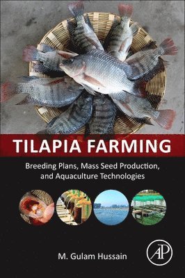bokomslag Tilapia Farming