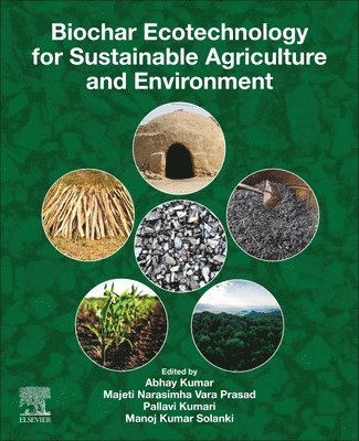 Biochar Ecotechnology for Sustainable Agriculture and Environment 1