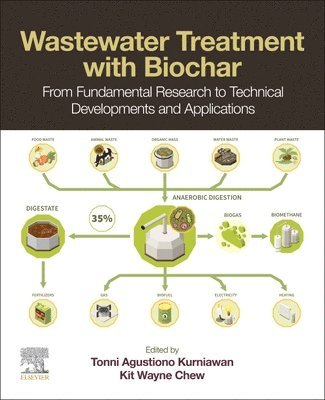Tonni Agustiono Kurniawan, Kit Wayne Chew - Wastewater Treatment with Biochar, Häftad
