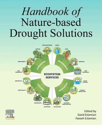 bokomslag Handbook of Nature-Based Drought Solutions