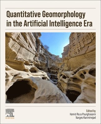 Hamid Reza Pourghasemi, Narges Kariminejad - Quantitative Geomorphology in the Artificial intelligence Era, Häftad