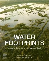 Amit Kumar, Dafeng Hui, Junjie Lin, Tarun Kumar Thakur - Water Footprints, Häftad