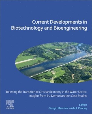 bokomslag Boosting the Transition to Circular Economy in the Water Sector: Insights from EU Demonstration Case Studies: Current Developments in Biotechnology an