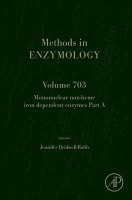 bokomslag Mononuclear Non-heme Iron Dependent Enzymes