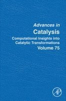 Maria Biosca - Computational Insights into Catalytic Transformations, Inbunden