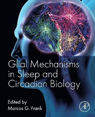 bokomslag Glial Mechanisms in Sleep and Circadian Biology