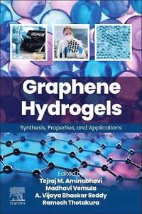 bokomslag Graphene Hydrogels