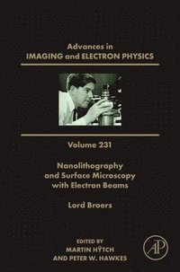 bokomslag Nanolithography and Surface Microscopy with Electron Beams