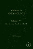 Mitochondrial Translocases Part B, Inbunden