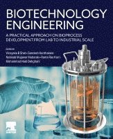 Shet,Vinayaka B, Vinayaka B. Shet, Sandesh Kanthakere, Nabisab Mujawar Mubarak, Rama Rao Karri, Mohammad Hadi Dehghani - Biotechnology Engineering, Häftad