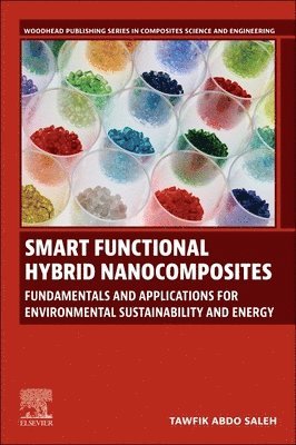 Tawfik Abdo Saleh - Smart Functional Hybrid Nanocomposites, Häftad