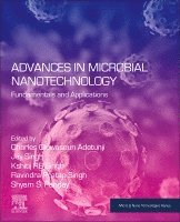 Charles Oluwaseun Adetunji, Jay Singh, Kshitij RB Singh, Ravindra Pratap Singh, Shyam S. Pandey - Advances in Microbial Nanotechnology, Häftad