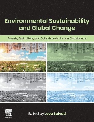 bokomslag Environmental Sustainability and Global Change