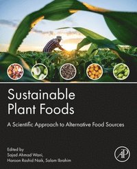 bokomslag Sustainable Plant Foods