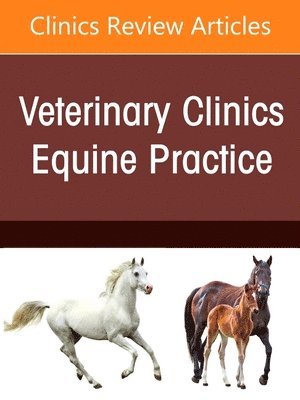 bokomslag Advances in the Diagnosis and Treatment of Equine Tendon and Ligament Injuries, An Issue of Veterinary Clinics of North America: Equine Practice