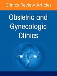 bokomslag The Obstetrics and Gynecology Workforce: Challenges and Strategies, An Issue of Obstetrics and Gynecology Clinics of North America