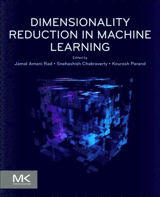 bokomslag Dimensionality Reduction in Machine Learning