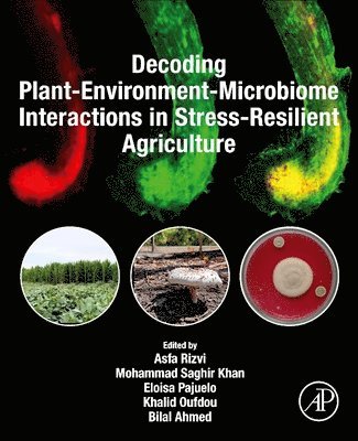 Asfa Rizvi, Mohammad Saghir Khan, Eloisa Pajuelo, Khalid Oufdou, Bilal Ahmed - Decoding Plant-Environment-Microbiome Interactions in Stress-Resilient Agriculture, Häftad