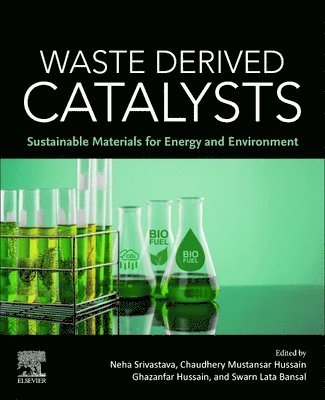 bokomslag Waste Derived Catalysts