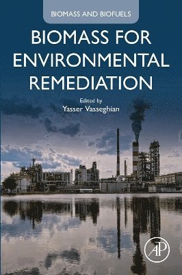 Vasseghian,Yasse, Yasser Vasseghian - Biomass for Environmental Remediation, Häftad