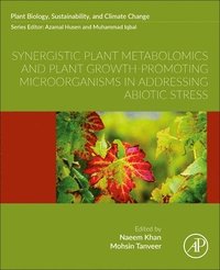 bokomslag Synergistic Plant Metabolomics and Plant Growth-Promoting Microorganisms in Addressing Abiotic Stress