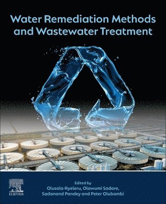 Olusola Olaitan Ayeleru, Olawumi Sadare, Peter Apata Olubambi, Sadanand Pandey - Water Remediation Methods and Wastewater Treatment, Häftad