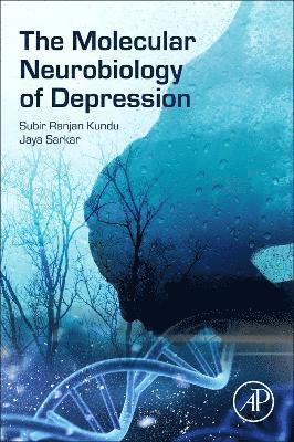 bokomslag The Molecular Neurobiology of Depression