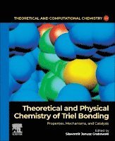 Slawomir Janusz Grabowski - Theoretical and Physical Chemistry of Triel Bonding, Häftad