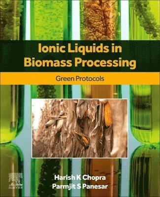 Harish K. Chopra, Parmjit S. Panesar - Ionic Liquids in Biomass Processing, Häftad