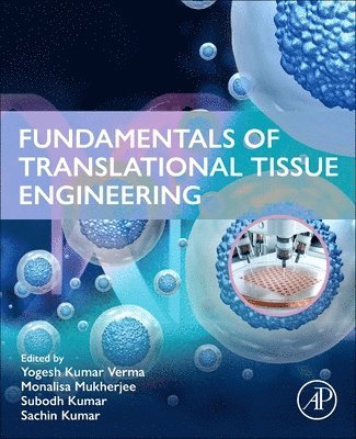 Yogesh Kumar Verma, Monalisa Mukherjee, Subodh Kumar, Sachin Kumar - Fundamentals of Translational Tissue Engineering, Häftad